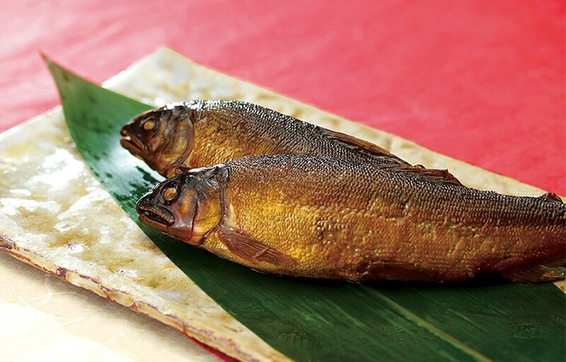   2025 ƥӤǾҲ  Ĺζ ǻ£ʪ NB-20