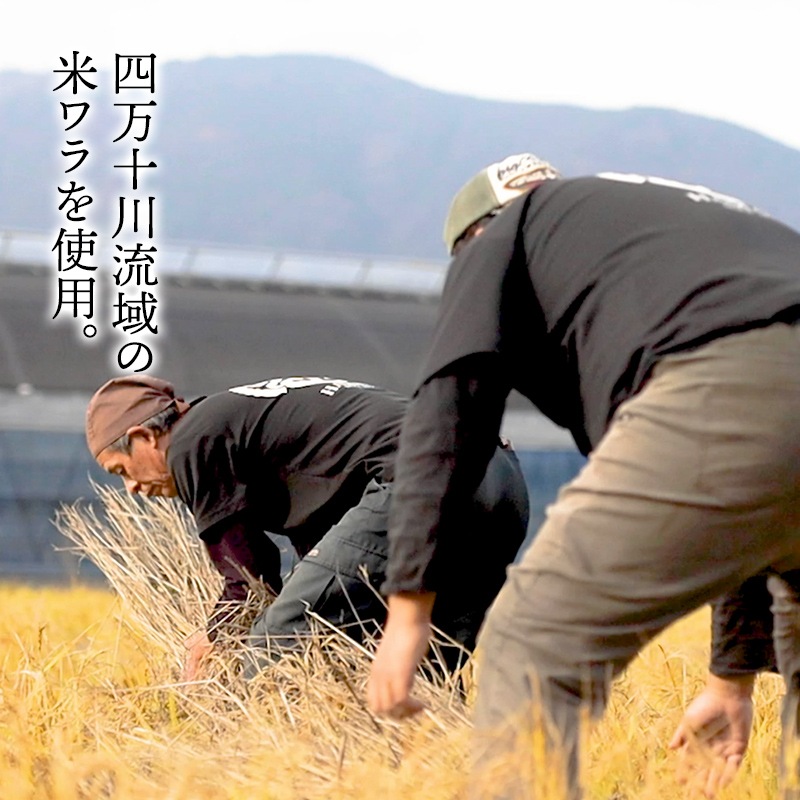   2025 ϥޥ Ƥ勵 ζϥ1 (350g) ʤ1 (110g) 졦ܥ դ