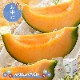 �ޤȤ��㤤�� ���渵 2026 �� 2026/6/25��8/10���Ϥ����̳�ƻ ͼĥ����� ���� 1�� SN0000-010001 ���渵