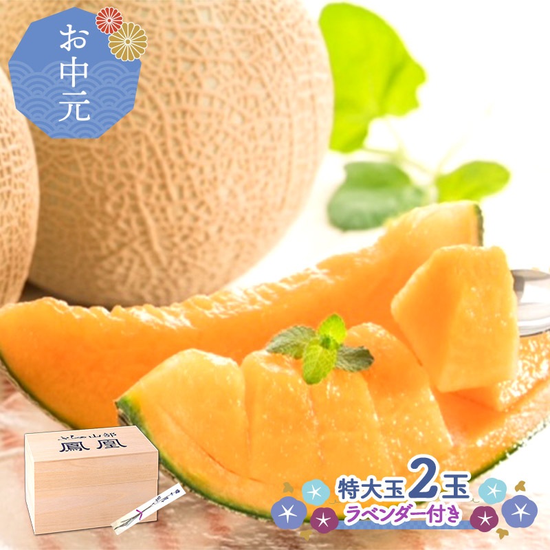 �ޤȤ��㤤�� ���渵 2026 �� 2026/6/22��8/31���Ϥ��ۺ������ �̳�ƻ ������ ˱�� ����� �ý��� ��Ȣ �����(3L) 2�� ���渵