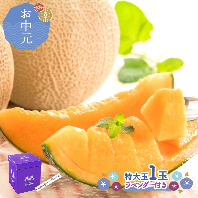渵 2025/6/168/31Ϥ  ̳ƻ  ˱   (3L) 1 渵