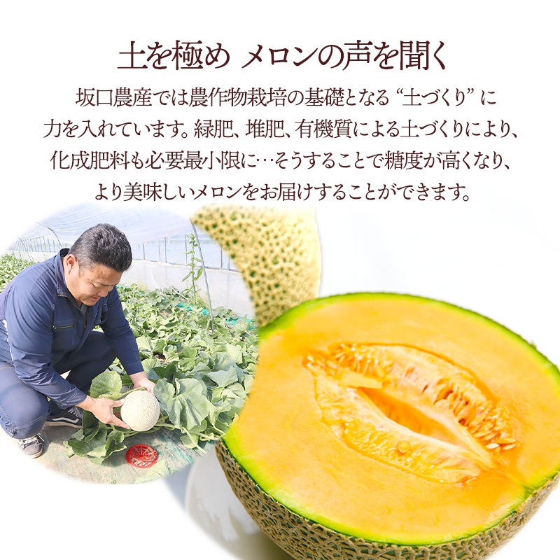 渵 2025/6/168/31Ϥ  ̳ƻ  ˱   (3L) 1 渵