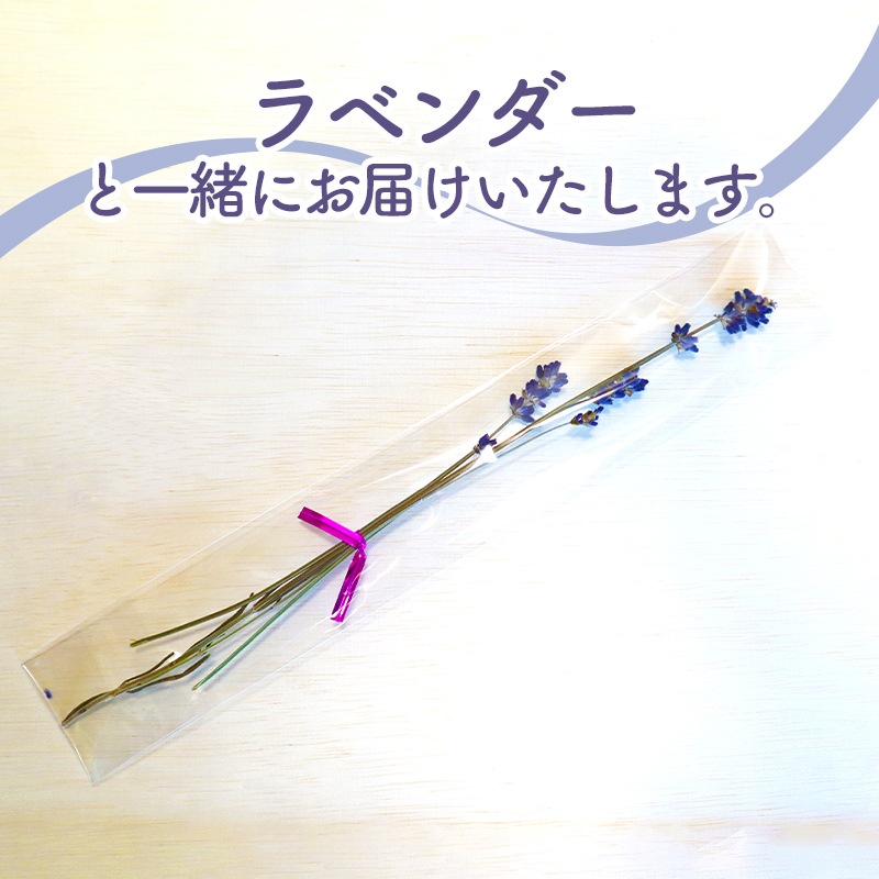 渵 2025/6/168/31Ϥ  ̳ƻ  ˱   (3L) 1 渵