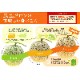 渵 2025/6/168/31Ϥ  ̳ƻ  ˱   (3L) 1 渵