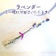 渵 2025/6/168/31Ϥ  ̳ƻ  ˱   (3L) 1 渵