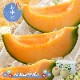�ޤȤ��㤤�� ���渵 2026 �� 2026/6/25��8/10���Ϥ����̳�ƻ ͼĥ����� ���� 2�� SN0000-010002 ���渵