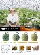 �ޤȤ��㤤�� ���渵 2026 �� 2026/6/25��8/10���Ϥ����̳�ƻ ͼĥ����� ���� 2�� SN0000-010002 ���渵