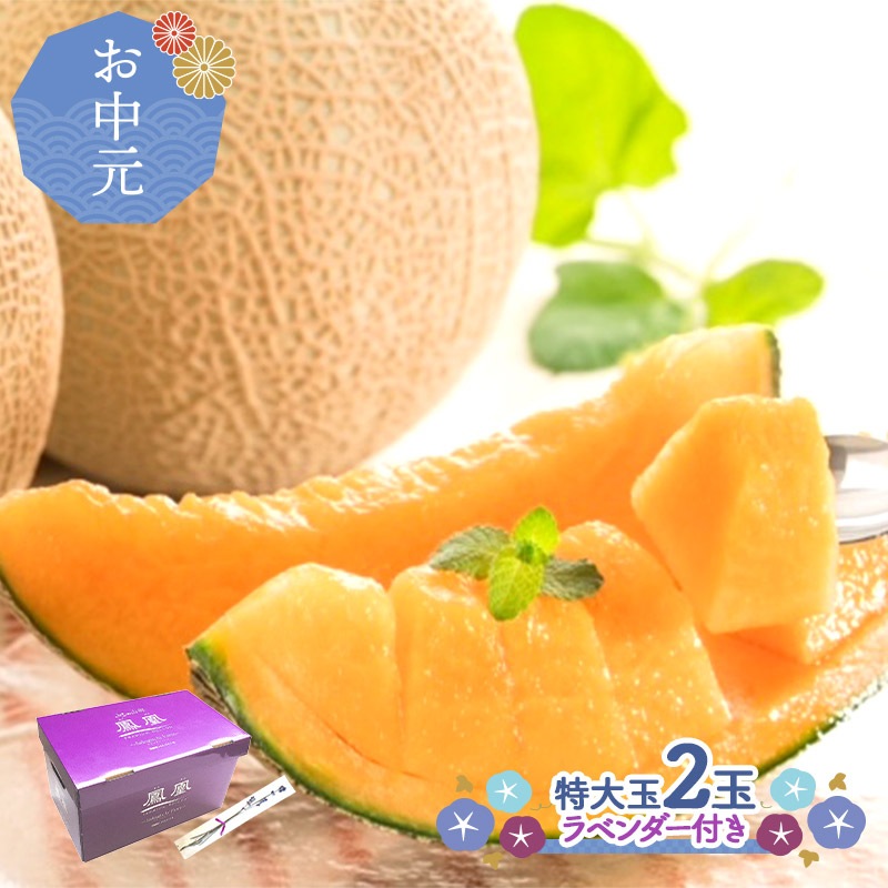�ޤȤ��㤤�� ���渵 2026 �� 2026/6/22��8/31���Ϥ��� ������� �̳�ƻ ������ ˱�� ����� ���� �����(3L) 2�� ���渵