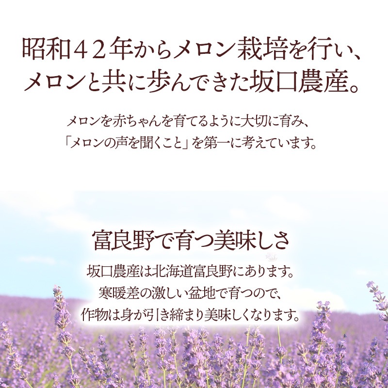 �ޤȤ��㤤�� ���渵 2026 �� 2026/6/22��8/31���Ϥ��� ������� �̳�ƻ ������ ˱�� ����� ���� �����(3L) 2�� ���渵