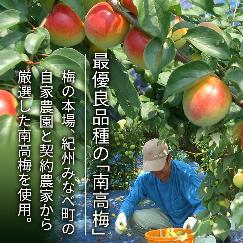 渵 2025    ( ۤ )  20γ 渵