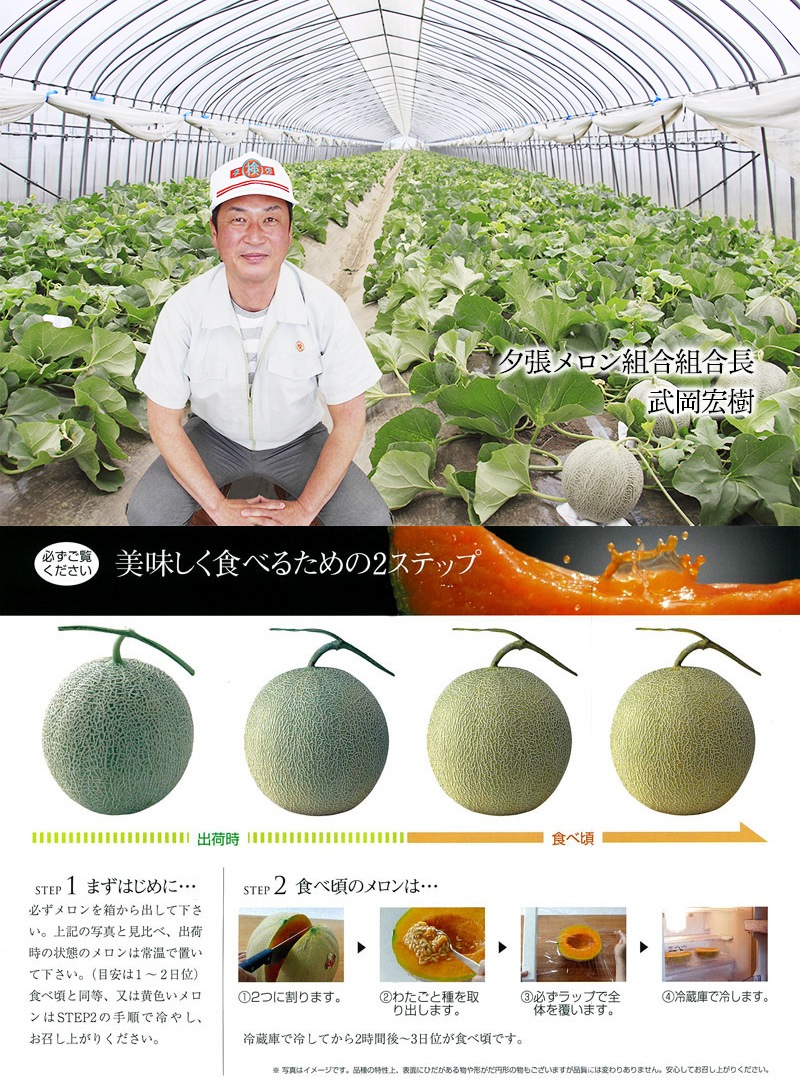 �ޤȤ��㤤�� ���渵 2026 �� 2026/6/25��8/10���Ϥ����̳�ƻ ͼĥ����� ���� ����� 1�� SN0000-010011 ���渵