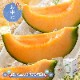 �ޤȤ��㤤�� ���渵 2026 �� 2026/6/25��8/10���Ϥ����̳�ƻ ͼĥ����� ���� ����� 1�� SN0000-010011 ���渵