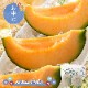 �ޤȤ��㤤�� ���渵 2026 �� 2026/6/25��8/10���Ϥ����̳�ƻ ͼĥ����� ͥ�� 2�� SN0000-010021 ���渵