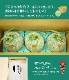 �ޤȤ��㤤�� ���渵 2026 �� 2026/6/25��8/10���Ϥ����̳�ƻ ͼĥ����� ͥ�� 2�� SN0000-010021 ���渵