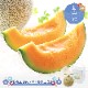 �ޤȤ��㤤�� ���渵 2026 �� 2026/6/25��9/10���Ϥ��� �̳�ƻ ��������� ����� 1�� SN0000-020127 ���渵