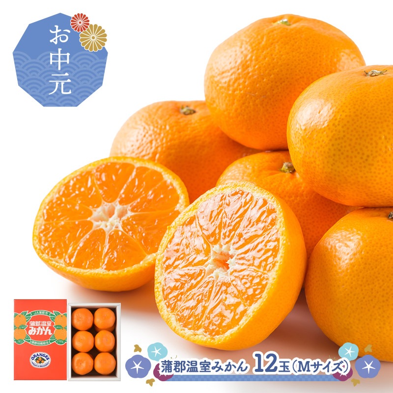 みかん お中元 【2025/7/1~8/10お届け】蒲郡温室みかん 12玉 (Mサイズ
