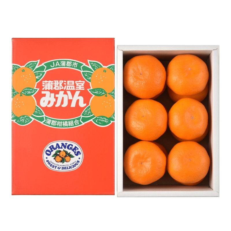 �ޤȤ��㤤�� ���渵 2026 �� 2026/6/25��8/10���Ϥ��۳��������ߤ��� ��1.2kg ( M������ 12�� ) SN6003-010010 ���渵