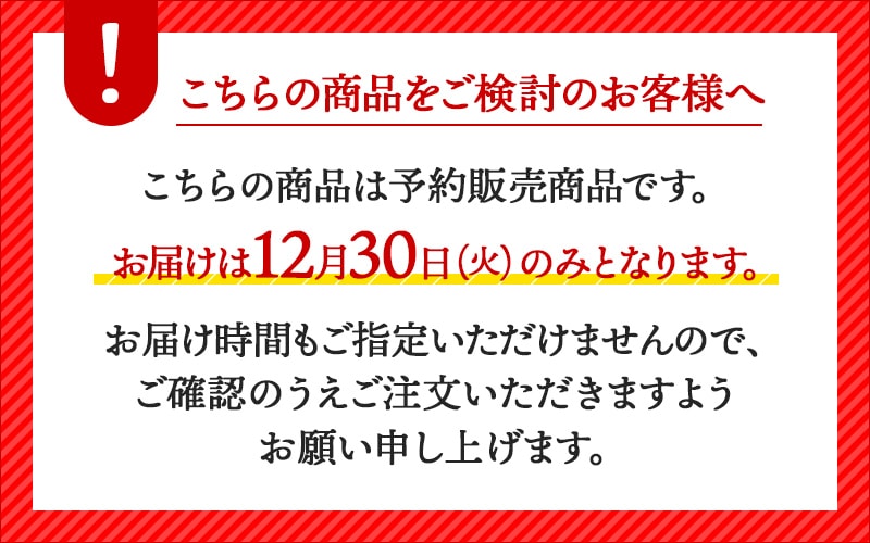 HW09逸品袋帯　オールシーズン　ツキを呼ぶ松尽くしモダンにクールに HW09逸品袋帯オールシーズンツキを呼ぶ松尽くしモダンにクールに