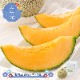 �ޤȤ��㤤�� ���渵 2026 �� 2026/6/25��9/10���Ϥ��� �̳�ƻ ��������� 1�� SN0000-020100 ���渵