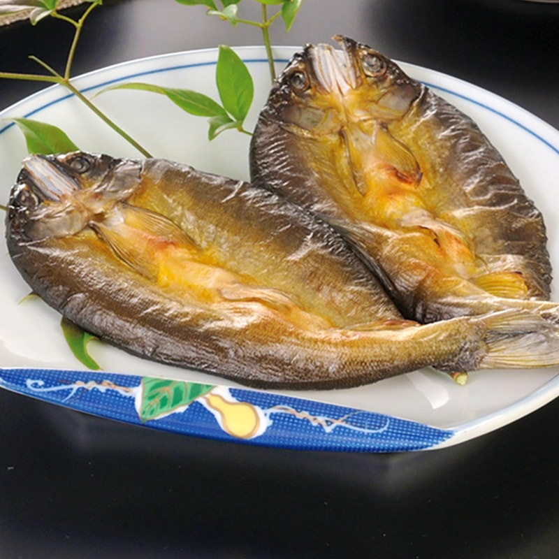 ڥ᡼б  Ϸޤΰ͹礻  һ  2 봳 2  UMSA-2