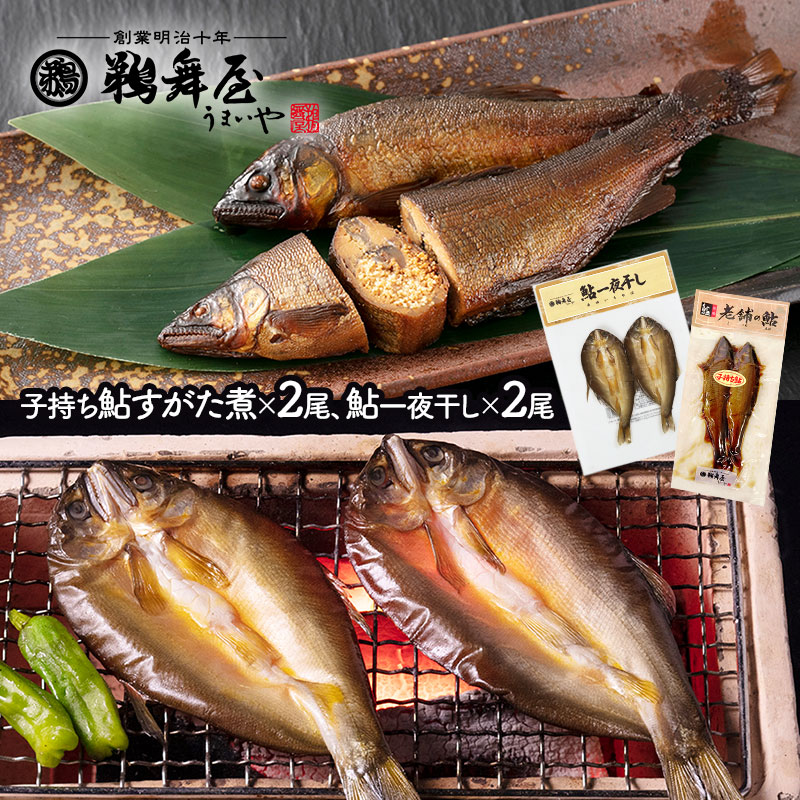 ڥ᡼б  Ϸޤΰ͹礻  һ  2 봳 2  UMSA-2