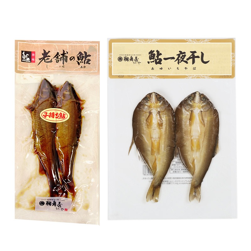 ڥ᡼б  Ϸޤΰ͹礻  һ  2 봳 2  UMSA-2