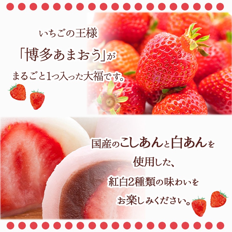   2025   Ϸ  ¿ ޤ ޤ뤴 ʡ 򤢤  5