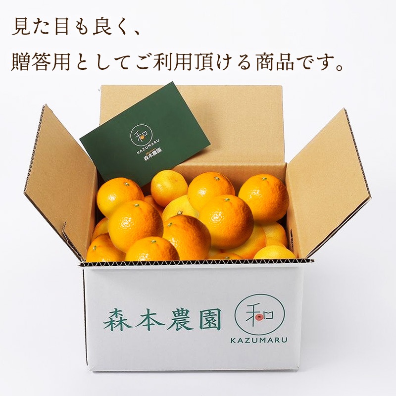 ��2026ǯ2����ܡ�5/15���Ϥ��� �²λ� ľ�� ��������� ���������  �� 2kg �� M �� LL ���������� ��