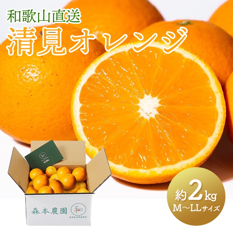 ��2026ǯ2����ܡ�5/15���Ϥ��� �²λ� ľ�� ��������� ���������  �� 2kg �� M �� LL ���������� ��