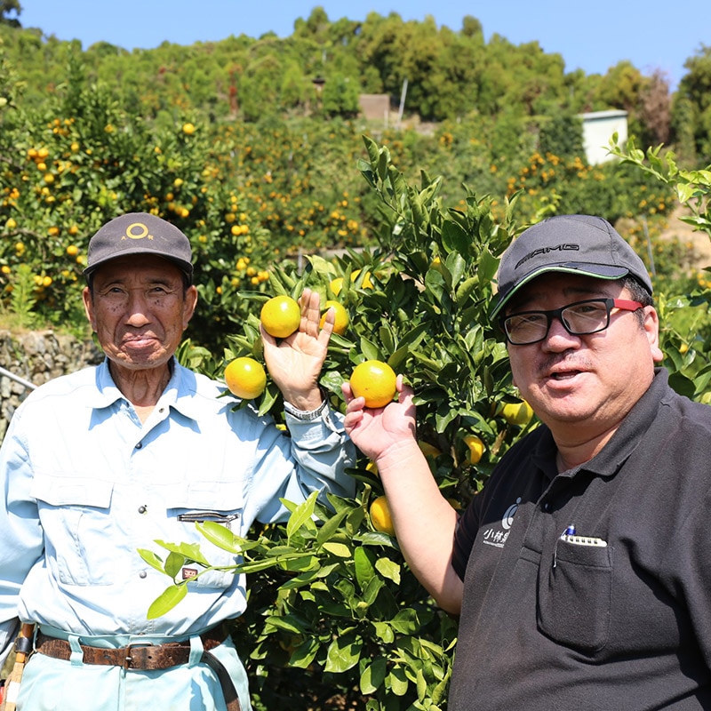   2025 11ܡ12ܤϤۡ£ѡɲߤ 5kg