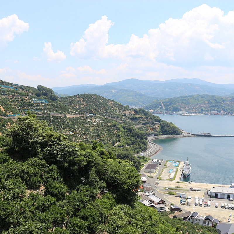   2025 11ܡ12ܤϤۡ£ѡɲߤ 5kg