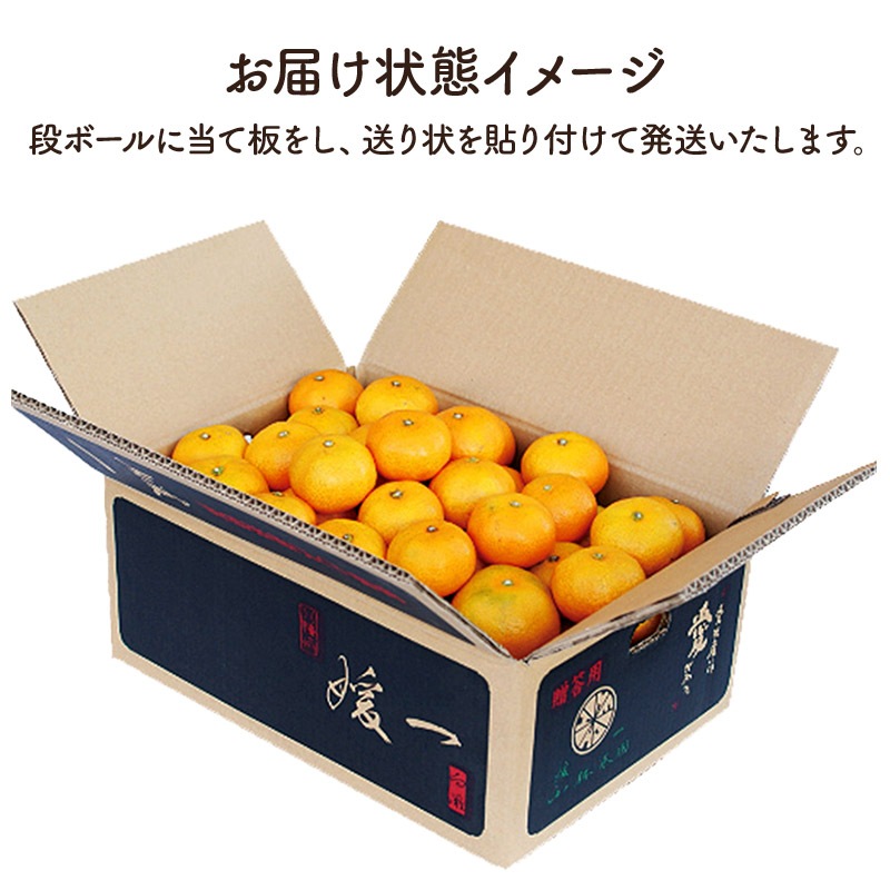   2025 11ܡ12ܤϤۡ£ѡɲߤ 5kg