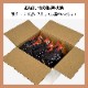 ��� ���渵 ����� 2026 �ڥ���ޥ륯���ե��ƽ��ۥ����������ĥ�����å��� 8�ĥ��å� ���渵