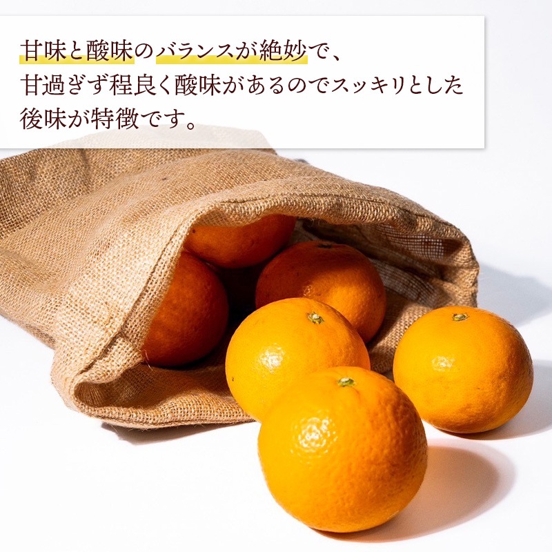 ��2026ǯ2����ܡ�5/15���Ϥ��� �²λ� ľ�� ��������� ���������  �� 3kg �� M �� LL ���������� ��