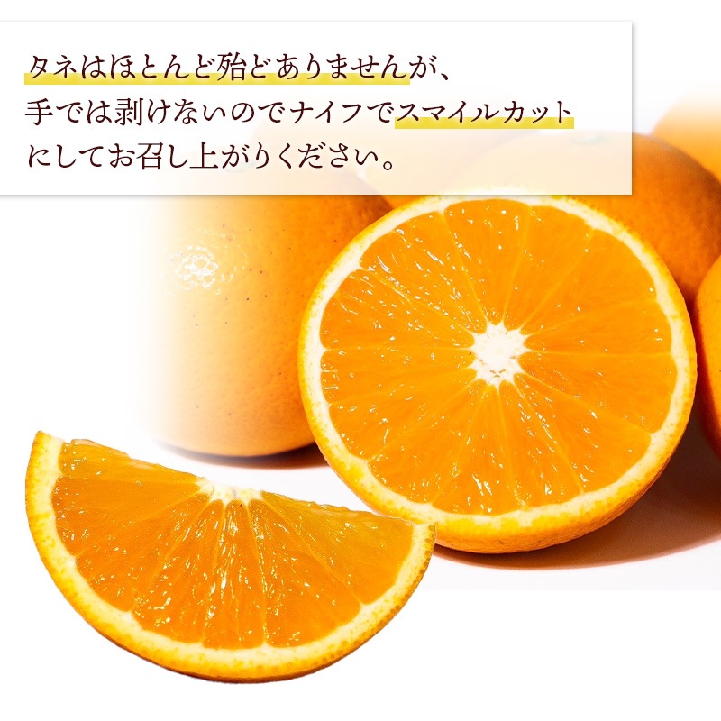 ��2026ǯ2����ܡ�5/15���Ϥ��� �²λ� ľ�� ��������� ���������  �� 3kg �� M �� LL ���������� ��