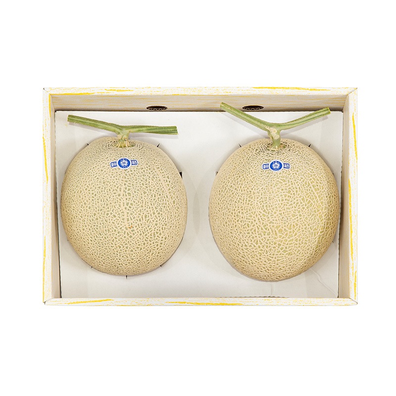 �� ���渵 2026/7/18��8/10���Ϥ����Ų����� �����륹����� ����