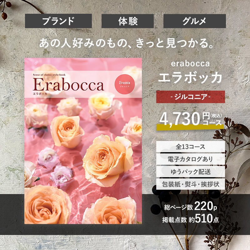 ����ܥå� ���륳�˥� 4,730�� ���ǹ��� ������ AE002