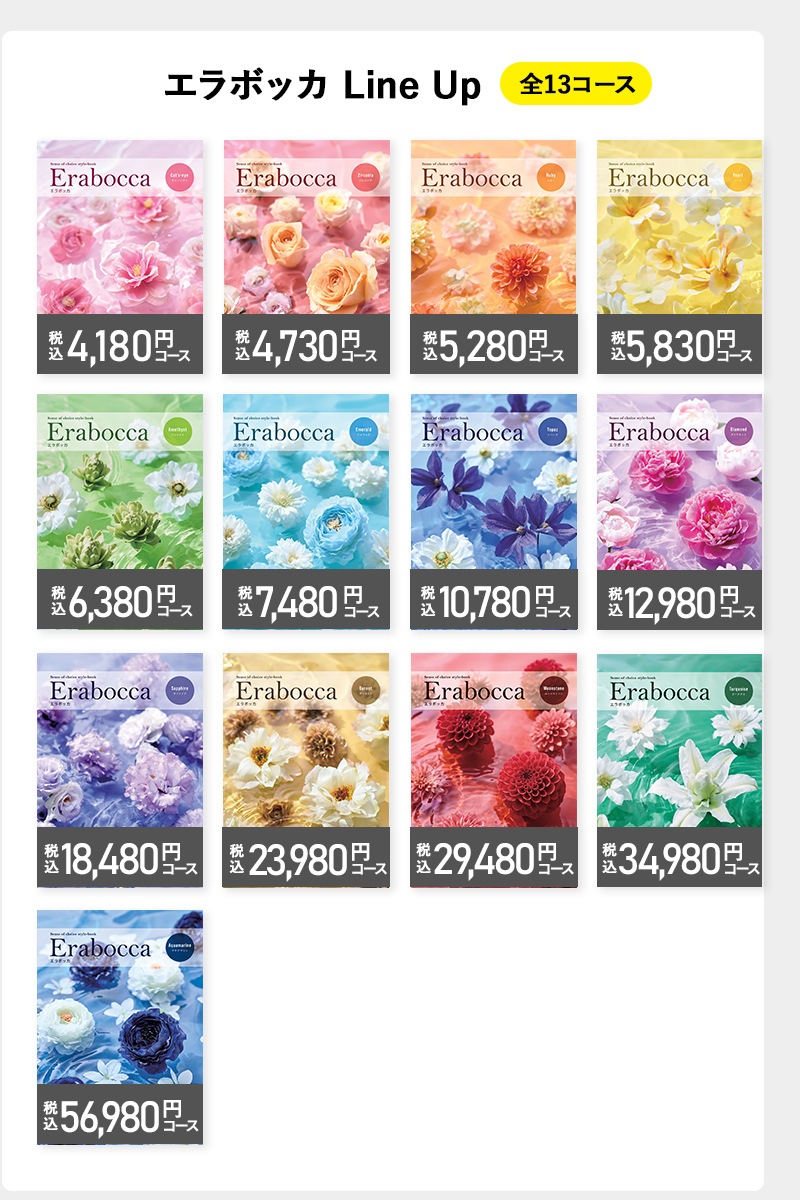 ����ܥå� ���륳�˥� 4,730�� ���ǹ��� ������ AE002