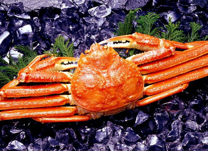 ��2025/11/1��2026/3/31���Ϥ��� �����磻���� ���襤���� ������ �भ�� 2kg SN0607-070005