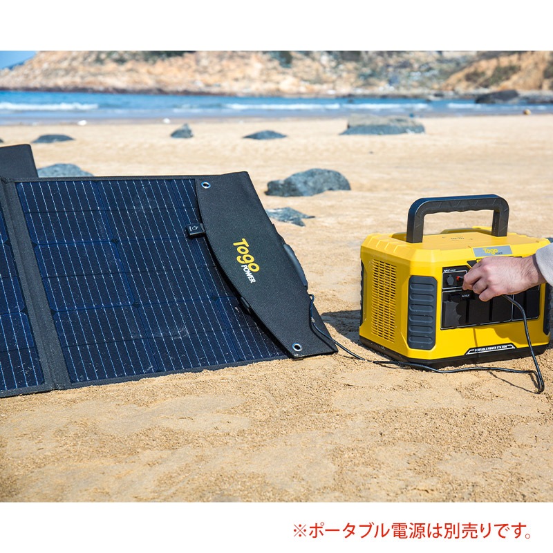 �����顼�ѥͥ� TogoPower 200W ( �ޤꤿ���߼� )