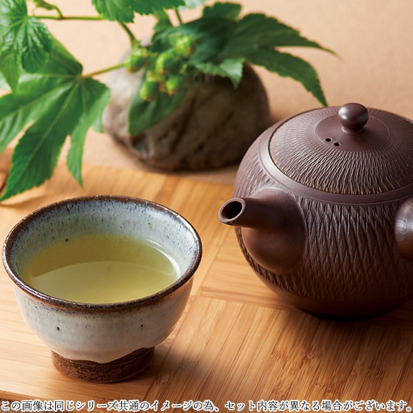 1枚目の商品写真 - 【定価2,500円】【30%OFF】茶の国めぐり 茶水詮緑茶ティーバッグ詰合せ TBA-25