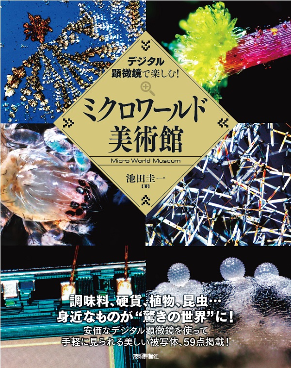デジタル顕微鏡で楽しむ! ミクロワールド美術館