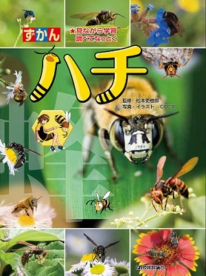 ☆*:.。. ハチページ.。.:*☆ ハチ | 全商品 | Gihyo Direct