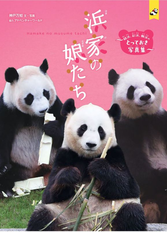 思い出をありがとう！ 上野のパンダ リーリーとシンシン | 理工
