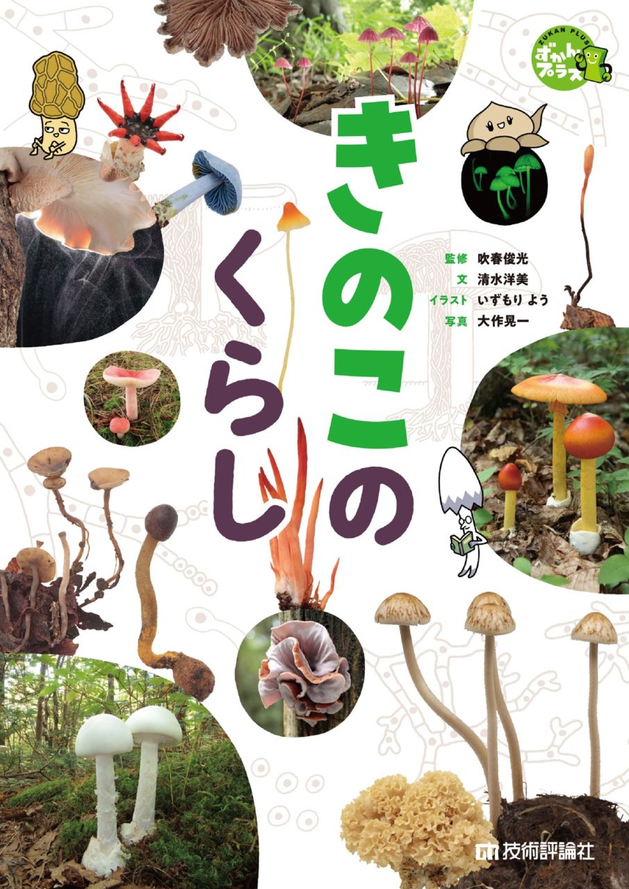 きのこのくらし