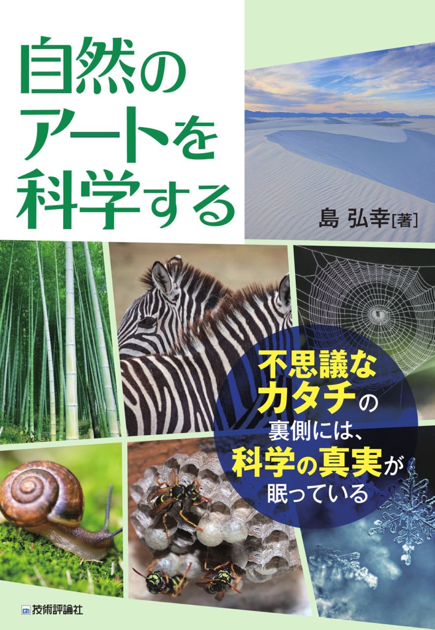自然のアートを科学する ―なぜその形が生まれたのか―