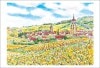 ヨーロッパの風景画ポストカード「アルボワのぶどう畑」