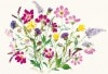 花のちぎり絵ポストカード「秋の花々」|花のちぎり絵ポストカード