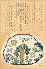 み言葉ポストカード「nature」|花・植物・木々|御言葉ポストカード