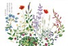 み言葉・花のちぎり絵ポストカード「庭の寄せ植え」|花のちぎり絵|御言葉ポストカード